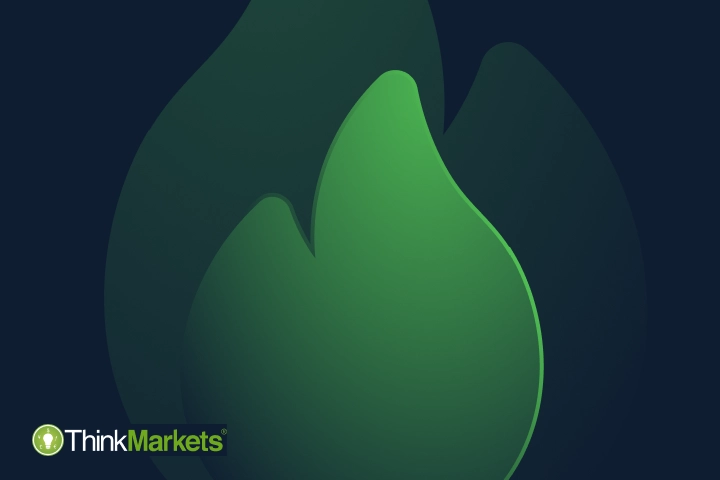 What are commodities, and how does the commodity market work?